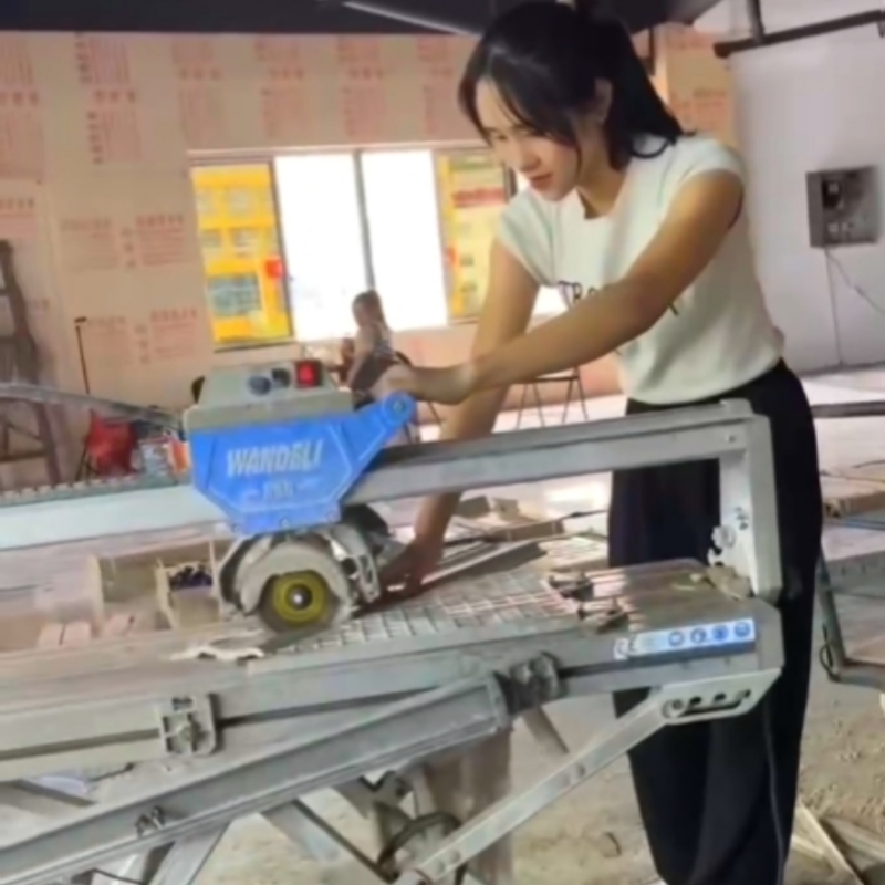 Our client Lisa operated a tile cutter case
